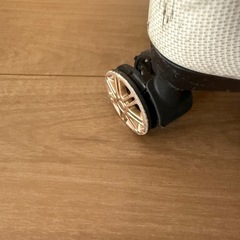 もらってください⚠️キャリーバックの画像