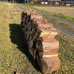 杉の丸太の画像