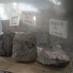 父が大切にしていた石たちです。の画像