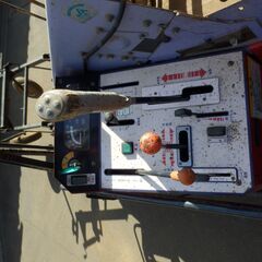 ポテカルゴ：ニプロ：掘り取り機：自走式掘取機：サツマイモ：ニンジン：掘取機の画像