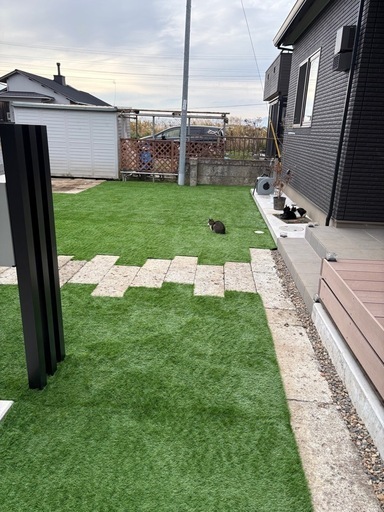 人工芝施！❗️