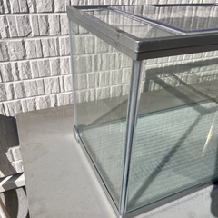 テトラ 水槽
の画像