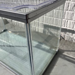 テトラ 水槽
の画像