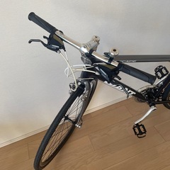 クロスバイク　GIANT ESCAPE R3の画像