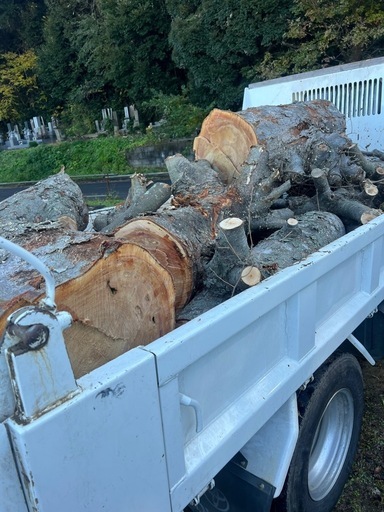 引取り限定　けやき　3トンダンプ2台半　薪　薪材　原木