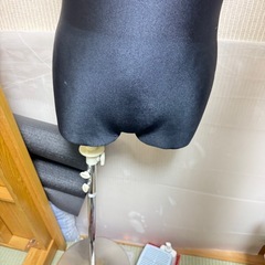 トルソーの画像