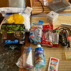 水槽セット　海水魚　淡水魚の画像