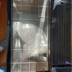 ガラス水槽セットの画像