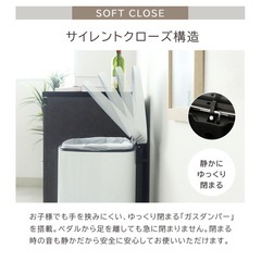 50Lフタ付きペダル式ゴミ箱    45Lゴミ袋対応の画像