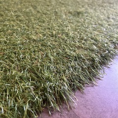 人工芝　室内使用　約100×215の画像