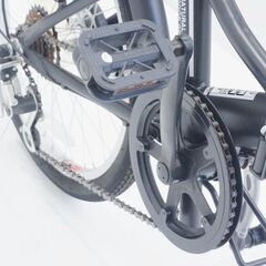 CAOTAIN STAG シティサイクル 外装6段 20インチの画像