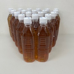 焙煎黒豆茶 500ml×20本　カロリー・カフェインゼロ 賞味期限2026/6/4　Z108-74919の画像