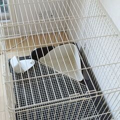 ケージセット　食器、水飲み器、おまけ付の画像