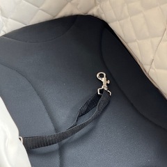 エアバギー fitt wiz X　　　の画像