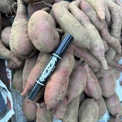 【紅はるか】さつまいも（土付き）1kg (約2〜3本)300円🍠の画像