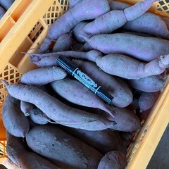 【紅はるか】さつまいも（土付き）1kg (約2〜3本)300円🍠の画像