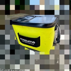 マズメ　バッカン　釣りの画像