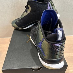 【貴重品！新品】Air Jordan Super.Fly 5の画像