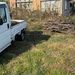 ①【無料】伐採木あります｜軽トラ1台分｜薪・焚き火にどうぞ ②無料｜軽トラ1台分の枝等｜薪ストーブ/キャンプ用 ③薪・焚火用木材｜無料引渡し｜軽トラ1台分 の画像