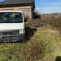 ①【無料】伐採木あります｜軽トラ1台分｜薪・焚き火にどうぞ ②無料｜軽トラ1台分の枝等｜薪ストーブ/キャンプ用 ③薪・焚火用木材｜無料引渡し｜軽トラ1台分 の画像