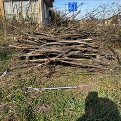 ①【無料】伐採木あります｜軽トラ1台分｜薪・焚き火にどうぞ ②無料｜軽トラ1台分の枝等｜薪ストーブ/キャンプ用 ③薪・焚火用木材｜無料引渡し｜軽トラ1台分 の画像