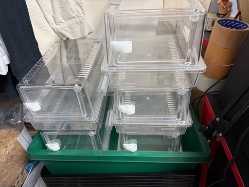 レプティギア300  　5個　爬虫類ケージ