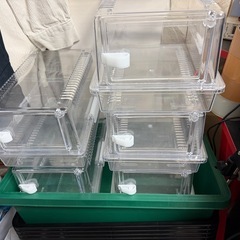 レプティギア300  　5個　爬虫類ケージ