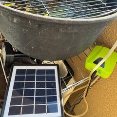 めだかとビオトープとソーラーエアと水温計と蓋と水草の画像