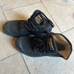 PARADIUM スニーカーの画像