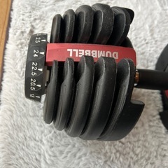 可変式ダンベル24キロ×2の画像