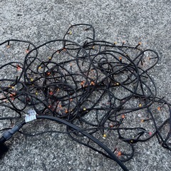 野外用イルミネーションの画像