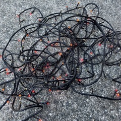 野外用イルミネーションの画像