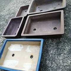 植木鉢　角浅鉢の画像