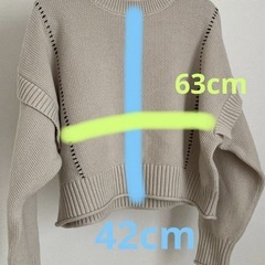 《比較的美品》LOWRYS FARM トップスの画像