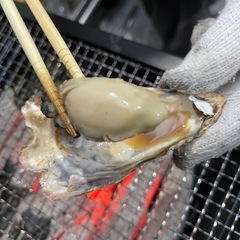 牡蠣の殻　粉砕後・粉砕前　どちらでも対応できます！の画像