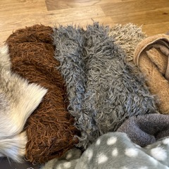 エコファー色々の画像