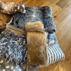 エコファー色々の画像