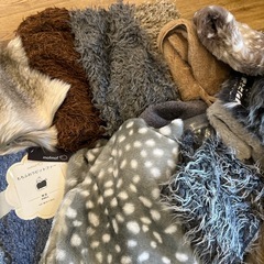 エコファー色々の画像