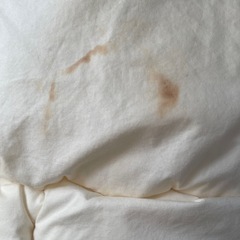 掛け布団 綿/ポリエステルの画像