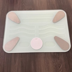 スマートバスマットの画像