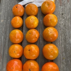 柿（無農薬）の画像