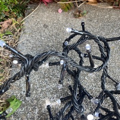 イルミネーションの画像