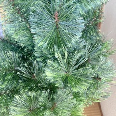 クリスマスツリー　26日まで掲載の画像