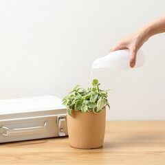 無印良品　ポリボトル・水差しの画像