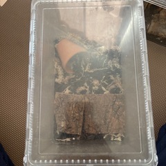 オカダンゴムシレッド＆マジックポーションの画像