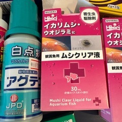 金魚のお薬セットの画像