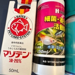 金魚のお薬セットの画像