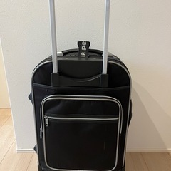 スーツケース　 La Pearl Italyの画像