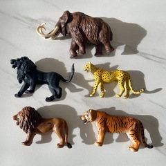 アニア　5体セットの画像