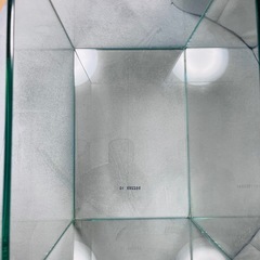 GEX ジェックス グラステリア アクアリウム フレームレスの画像